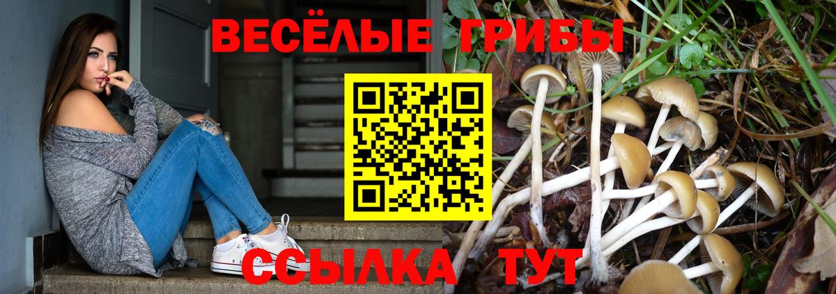 Псилоцибиновые грибы мицелий Кумертау