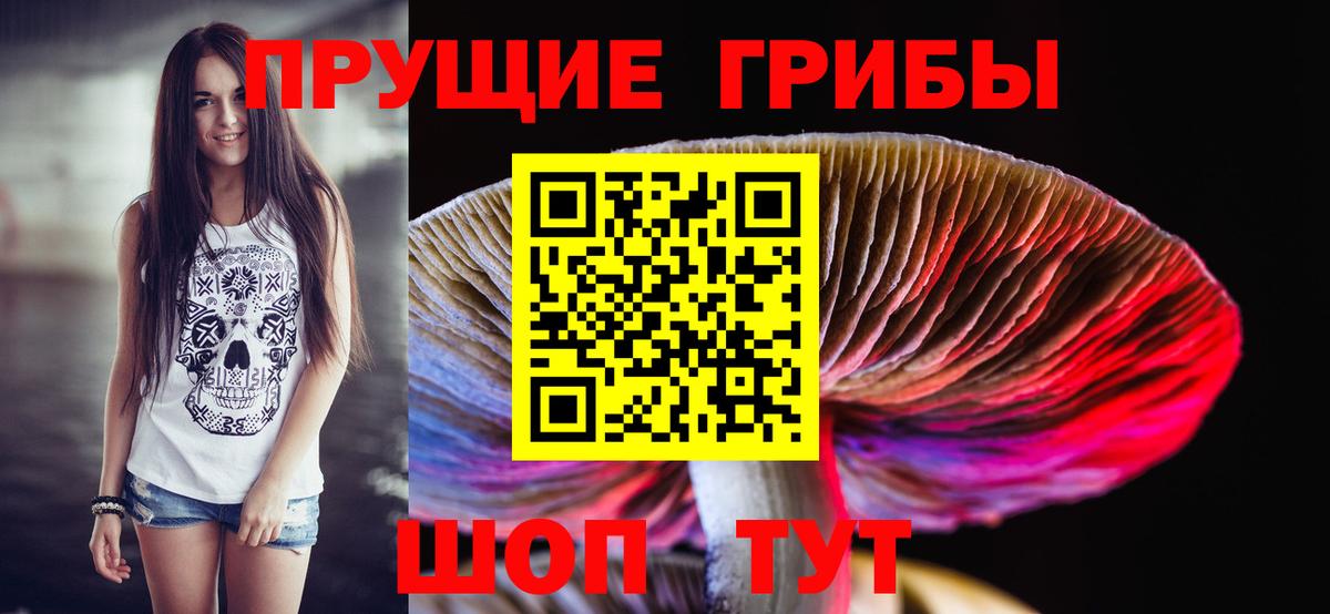 Кумертау  Псилоцибиновые грибы GOLDEN TEACHER  Вход с VPN  Галлюциногенные грибы прущие грибы 